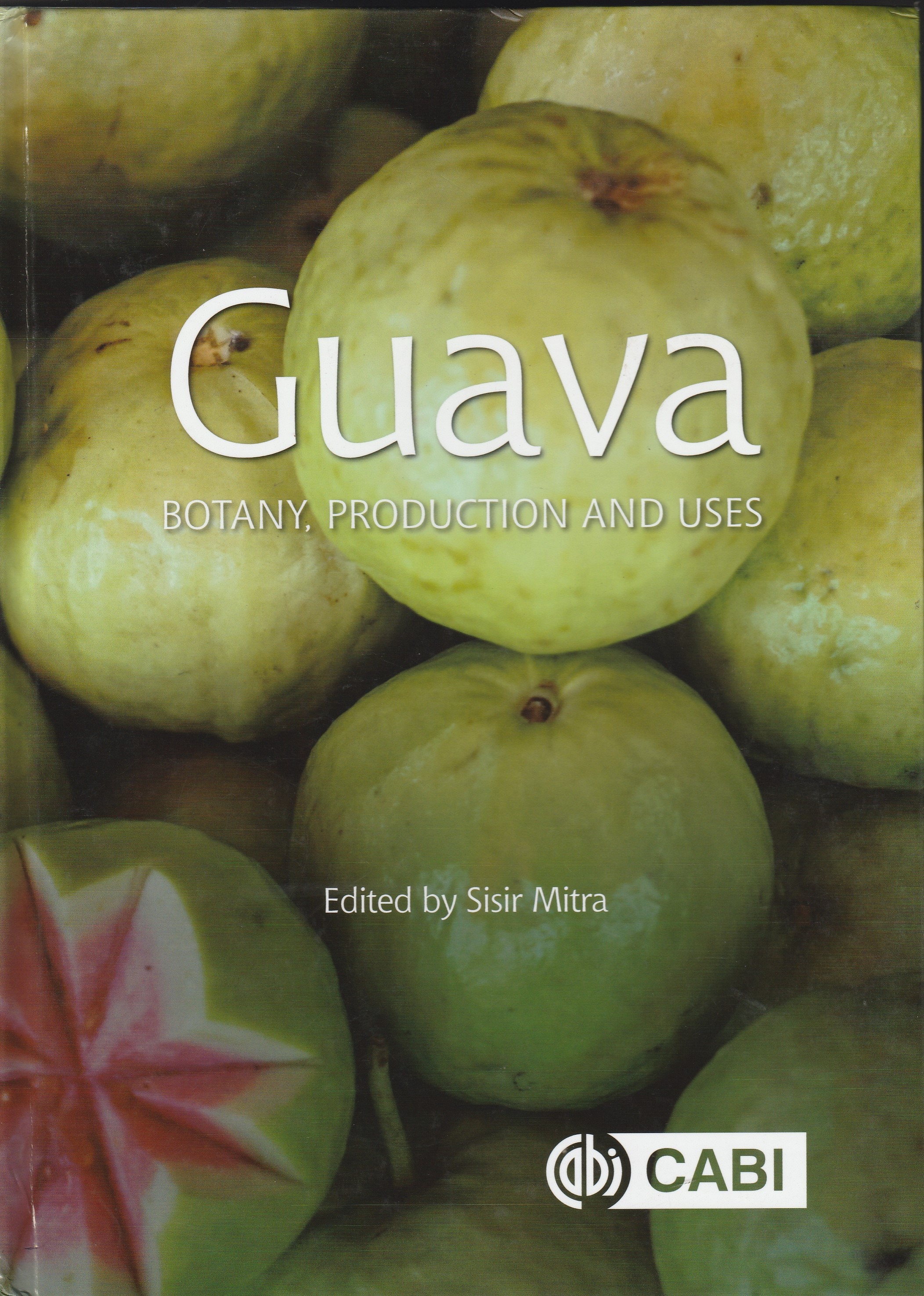 Guava