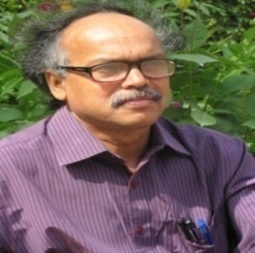 Sankar Kr. Acharya